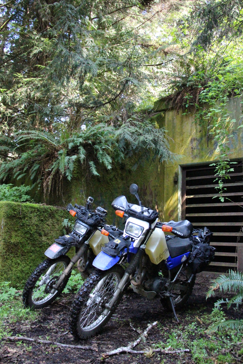 Illustration for article titled Finding Abandoned WWII Bunkers On Washington's Olympic Peninsula